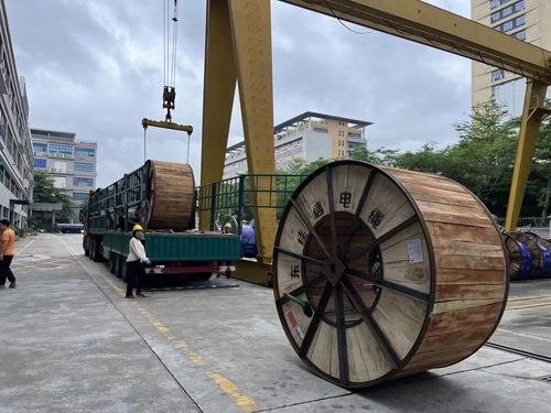 últimas notícias da empresa sobre Introdução do cabo Dongjiaxin