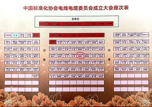 últimas notícias da empresa sobre Felicite calorosamente o cabo de DJX em transformar-se o membro da comissão da associação de China para a normalização